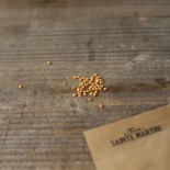 MINI AUBERGINE THAI Lavender Frog Egg - Graines BIO | Ferme de Sainte Marthe | Graines et Bio