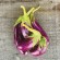 AUBERGINE GRECQUE Tsakoniki - Graines BIO