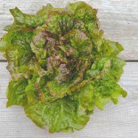 LAITUE BATAVIA Rouge Grenobloise - Graines BIO | Ferme de Sainte Marthe | Graines et Bio