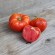 TOMATE ROUGE DE CORSE - Graines BIO