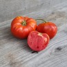 TOMATE ROUGE DE CORSE - Graines BIO | Ferme de Sainte Marthe | Graines et Bio