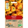 POIVRON MANDARINE - Graines BIO | La Semence Bio | Graines et Bio
