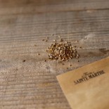 ENDIVE Tardivo - Graines BIO | Ferme de Sainte Marthe | Graines et Bio