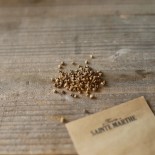 BETTERAVE DE DETROIT 2 - Graines BIO | Ferme de Sainte Marthe | Graines et Bio