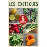PACK "Les Exotiques" - Graines Bio |  | Graines et Bio