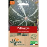 POTIMARRON GREEN HOKKAIDO - Graines BIO | La Semence Bio | Graines et Bio