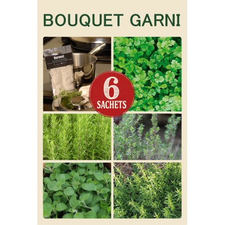 PACK "Bouquet Garni" - Graines Bio |  | Graines et Bio