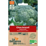 BROCOLI Calabrais - Graines BIO | La Semence Bio | Graines et Bio
