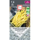 🫘 Graines de HARICOT - HARICOT À RAMES BEURRE Neckargold - Graines BIO