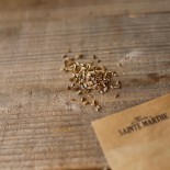 FENOUIL DOUX DE FLORENCE - Graines BIO | Ferme de Sainte Marthe | Graines et Bio