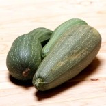 COURGETTES - DUO Kokopelli - Graines BIO | KOKOPELLI | Graines et Bio