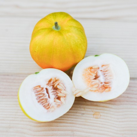 MINI MELON Mango - Graines BIO | KOKOPELLI | Graines et Bio