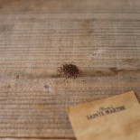 MONARDE BERGAMOTE - Graines BIO | Ferme de Sainte Marthe | Graines et Bio