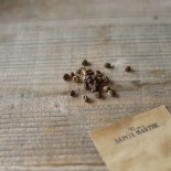 CAPUCINE RAMPANTE Purple Emperor - Graines BIO | Ferme de Sainte Marthe | Graines et Bio