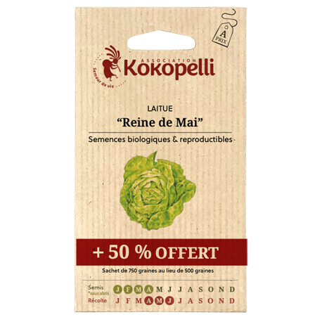 LAITUE REINE DE MAI +50% - Graines BIO | KOKOPELLI | Graines et Bio