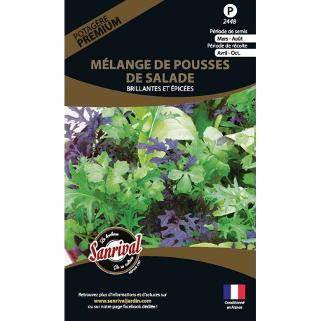 POUSSES DE SALADE en mélange - Graines PREMIUM non traitées | SANRIVAL | Graines et Bio