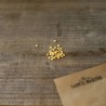 PIMENT DOUX VÉGÉTARIEN - Graines BIO | Ferme de Sainte Marthe | Graines et Bio