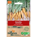 CAROTTE JAUNE DU DOUBS - Graines BIO | La Semence Bio | Graines et Bio