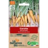 CAROTTE JAUNE DU DOUBS - Graines BIO | La Semence Bio | Graines et Bio