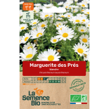 MARGUERITE DES PRÉS Blanche - Graines BIO | La Semence Bio | Graines et Bio