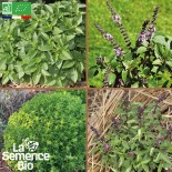 Graines de BASILIC - 4 BASILICS EN MÉLANGE - Graines BIO