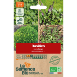 4 BASILICS EN MÉLANGE - Graines BIO | La Semence Bio | Graines et Bio