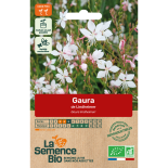 GAURA de Lindheimer - Graines BIO | La Semence Bio | Graines et Bio