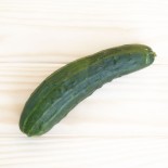 CONCOMBRE LONG VERT ANGLAIS - Graines BIO | KOKOPELLI | Graines et Bio