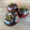 TOMATE BLACK BEAUTY - Graines BIO | Ferme de Sainte Marthe | Graines et Bio