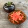 TOMATE BLACK BEAUTY - Graines BIO