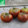 GROSSES TOMATES en MÉLANGE - Graines BIO | Ferme de Sainte Marthe | Graines et Bio