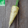 CAROTTE BLANCHE de Kuttingen - Graines BIO | Ferme de Sainte Marthe | Graines et Bio