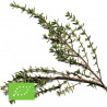THYM - Graines BIO | Ferme de Sainte Marthe | Graines et Bio