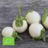 MINI AUBERGINE Blanche Ronde à Oeuf - Graines BIO | Ferme de Sainte Marthe | Graines et Bio