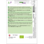 HARICOT NAIN MANGETOUT La Victoire- Graines BIO | Sativa | Graines et Bio