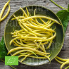 HARICOT NAIN BEURRE MANGETOUT Creso - Graines BIO | Sativa | Graines et Bio