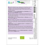 SAUGE Sclarée - Graines BIO | Sativa | Graines et Bio