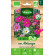 COSMOS en Mélange - Graines BIO