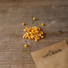 MAÏS POP CORN Tom Pouce - Graines BIO | Ferme de Sainte Marthe | Graines et Bio