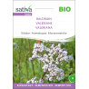 VALÉRIANE - Graines BIO | Sativa | Graines et Bio