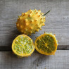 KIWANO CONCOMBRE Cornu - Graines BIO | Ferme de Sainte Marthe | Graines et Bio