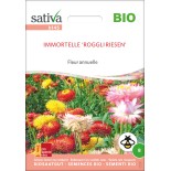IMMORTELLE - Graines BIO | Sativa | Graines et Bio