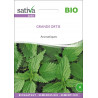 ORTIE - Graines BIO | Sativa | Graines et Bio