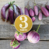 MINI AUBERGINES: 3 variétés en Mélange - Graines BIO | Ferme de Sainte Marthe | Graines et Bio