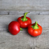 MINI PIMENT Red Cherry - Graines BIO | Ferme de Sainte Marthe | Graines et Bio