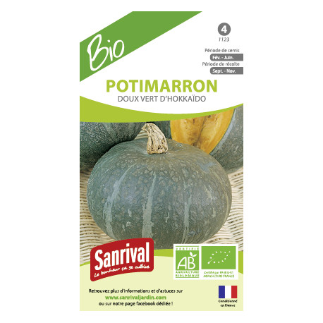 POTIMARRON Doux Vert d'HOKKAÏDO - Graines BIO | SANRIVAL | Graines et Bio