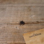 MYOSOTIS des BOIS - Graines non traitées | Ferme de Sainte Marthe | Graines et Bio