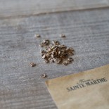 ROSE TRÉMIÈRE Violette double - Graines non traitées | Ferme de Sainte Marthe | Graines et Bio