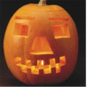 COURGE JACK O'LANTERN - Graines BIO | Ferme de Sainte Marthe | Graines et Bio