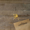 PIMENT d'ESPELETTE Gorria - Graines BIO | Ferme de Sainte Marthe | Graines et Bio